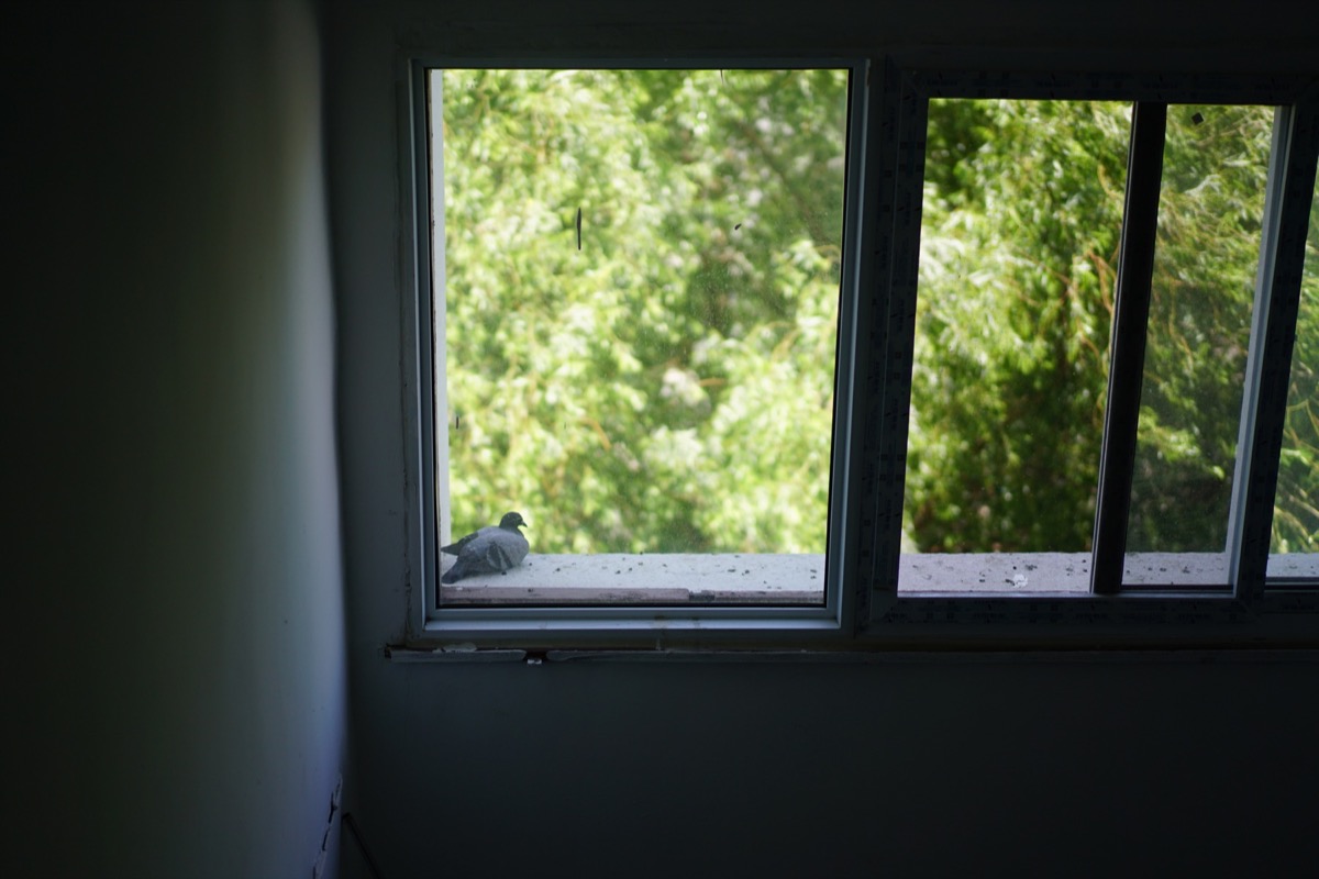 胡同中的日常瞬间 星星 5