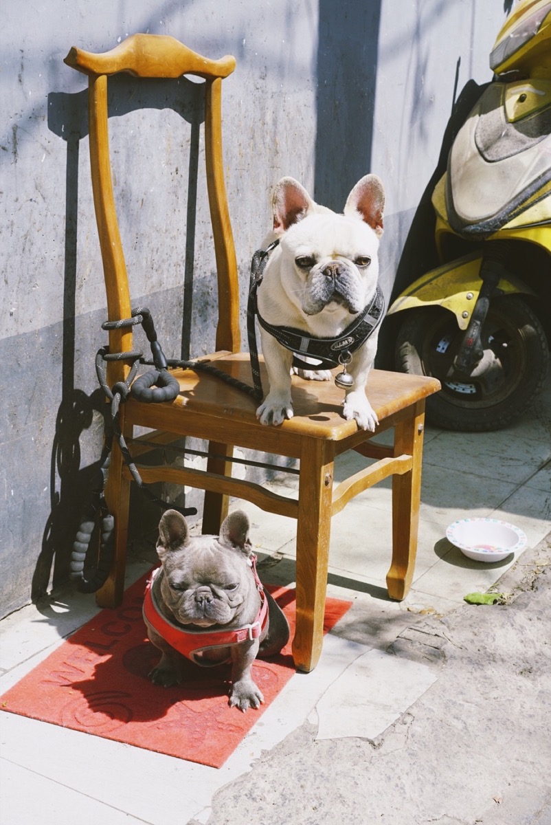 胡同中的日常瞬间 星星 9