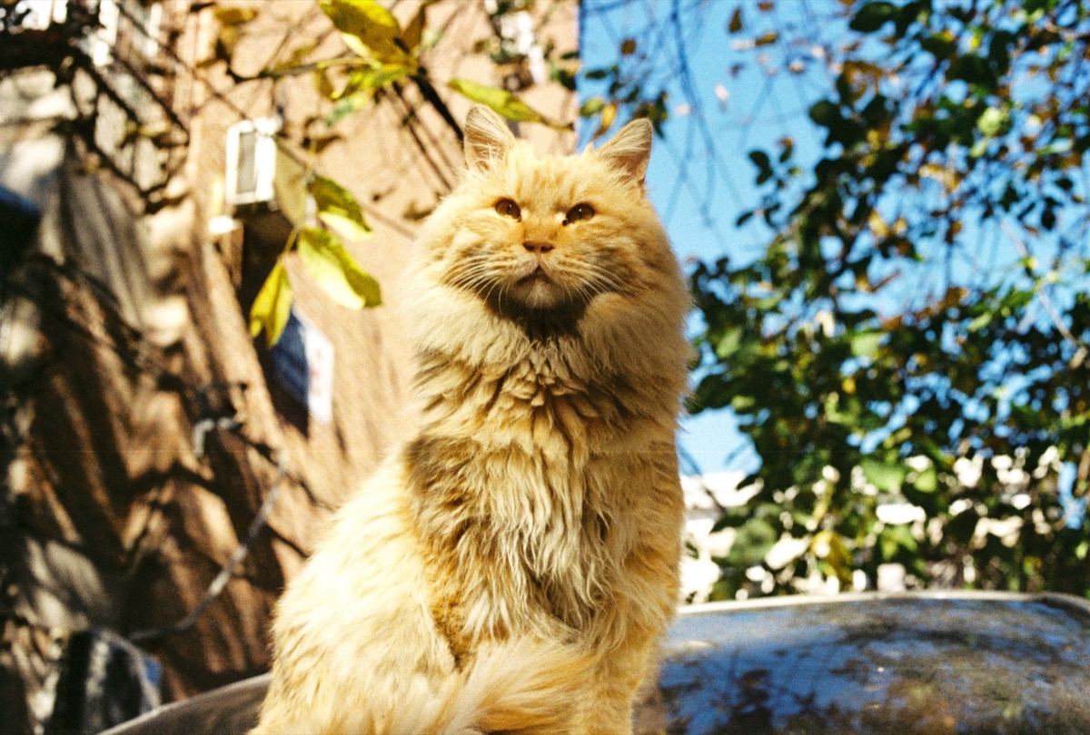 胡同中的日常瞬间 太阳 2