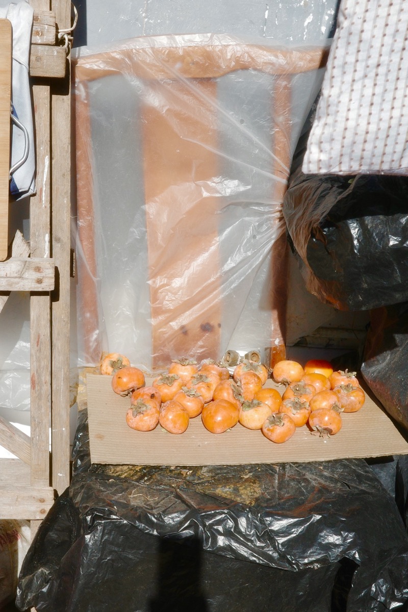 胡同中的日常瞬间 太阳 4